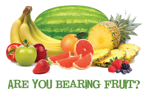 Be Fruitful gospel tracts. It is a very colorful design on a white background. There is bananas, watermelon, grapefruit, berries, apples, oranges, and pineapple.