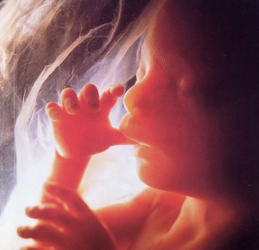 save unborn babies gospel tracts