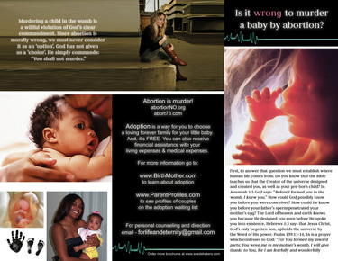 Abortion Prolife Brochures